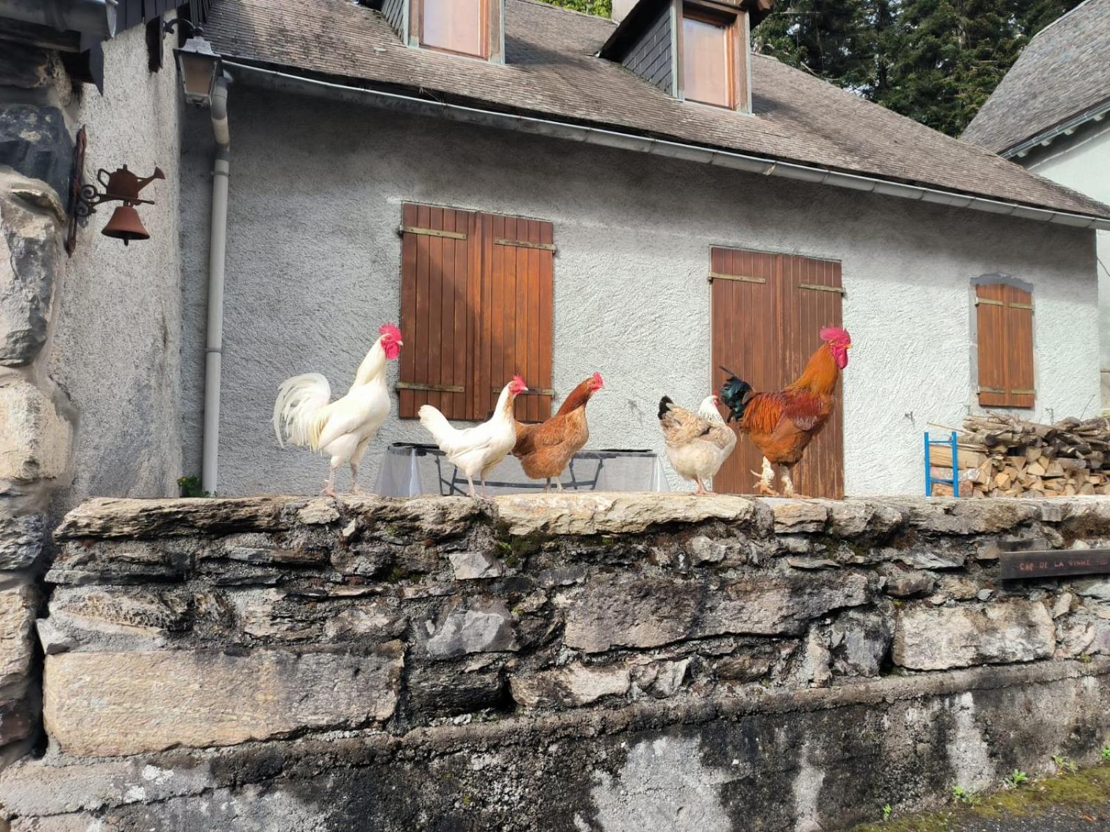 Chateau D'Arance Hotel Restaurant Espace Bien-Etre Cette-Eygun Eksteriør billede